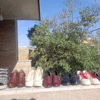 کفش های استفاده نشده و نو سایز37