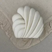 ۱۶ مدل قالب سیلیکونی شمع