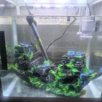 آکواریوم دلسا