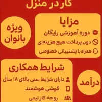 کار در منزل