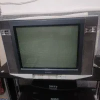 تلویزیون
