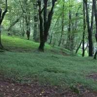 بیل زنی باغ به صورت کنتورات