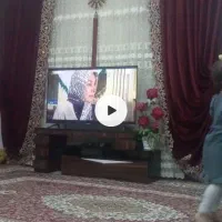 پرده در حد نو