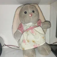 عروسک پولیشی|اسباب‌‌بازی|زنجان, |دیوار