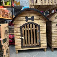 لونه چوبی سگ