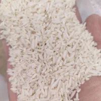 برنج سرلاشه هاشمی معطر