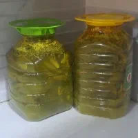 فروش خیارشور درجه یک