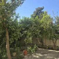 ویلایی-دربست-رهن-اجاره-درحبیب-الله-250-متر-زمین