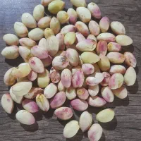 پسته تازه دامغان تسویه پس از تحویل درب منزل|خوردنی و آشامیدنی|تهران, سید خندان (جلفا)|دیوار