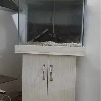 آکواریم  با لوازم قیمت توافقی