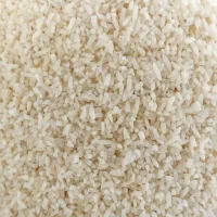 نیم دانه هاشمی سورتینگ