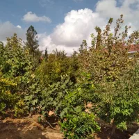 فروش-دو-خوابه-100-متری-یزدان-مهر