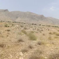 فروش ۴۰۰۰ متری در فرهنگ شهر|فروش دفتر صنعتی، کشاورزی، تجاری|شیراز, فرهنگ شهر|دیوار