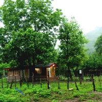 اجاره کلبه چوبی دنج در دل جنگل|اجارهٔ کوتاه‌مدت آپارتمان و سوئیت|ماسال, |دیوار