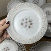 ملامین جنس غیر نشکن|ظروف سرو و پذیرایی|پاکدشت, خاتون آباد|دیوار