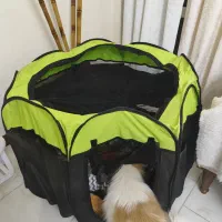 پارک برزنتی سگ و گربه