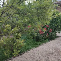 ویلا باغ دربستی اجاره روزانه وهفتگی|اجارهٔ کوتاه‌مدت ویلا و باغ|اردبیل, |دیوار