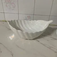 ظروف پذیرایی