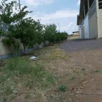 اجاره سوله۴۰۰۰م برق۳۲۰ کد۲۰۴۳|اجارهٔ دفتر صنعتی، کشاورزی، تجاری|زاویه, |دیوار