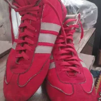 کفش کشتی|کیف، کفش، کمربند|آستارا, |دیوار