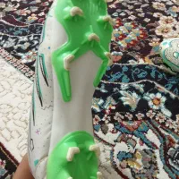 استوک چمنی