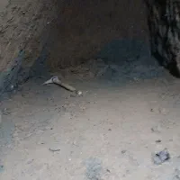 مغنی چاه کن مقنی حفاری|خدمات پیشه و مهارت|شهریار, شهرک شاهد|دیوار