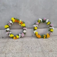 حلقه گردنی مناسب حجاج|گل و گیاه طبیعی|اهواز, اهواز|دیوار