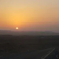 گوشواره طلا پیدا شده
