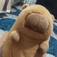 یک عدد عروسک زیبا با طرح خوکچه هندی