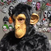 تن پوش میمون شامپانزه در اصفهان