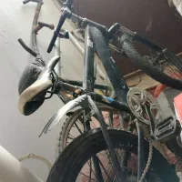 دوچرخه حرفه ای|دوچرخه، اسکیت، اسکوتر|ایرندگان, |دیوار