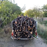 خرید چوب و درخت