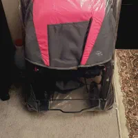 کالسکه دلیجان نو