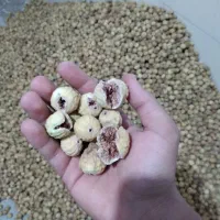 انجیر درهم قیمت مفت ارگانیک استهبان هست