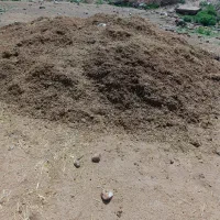 کود گوسفندی