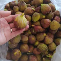 انجیر سیاه