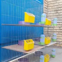 قفس پرنده کبوتر|لوازم جانبی حیوانات|اصفهان, ارداجی|دیوار