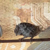 دوتا نر مست قلمکار|پرنده|اصفهان, سرشبادران|دیوار