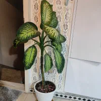 گل و گلدان
