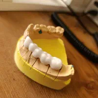 لابراتوار تخصصی دندانسازی آرتمیس|خدمات آرایشگری و زیبایی|اسلام‌شهر, شهرک لاله|دیوار