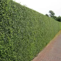 تفکیک زمین با دیوار سبز با سیم فولادی چک مدت دار