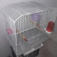 قفس پرنده