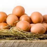 تخم مرغ طبیعی نطفه دار ۲۰ تومن
