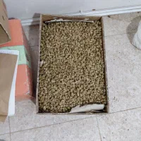 توت خشک سفید ودرشت|خوردنی و آشامیدنی|پاوه, |دیوار