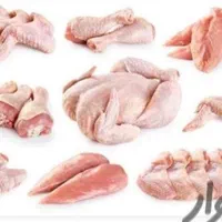 آگهی استخدام نیرو آقا و خانم برای قطعه بندی مرغ