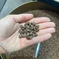 فروش دون قهوه از ۲۵۰ گرم تا ۳۰ کیلو