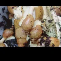 واگذاری حلزون