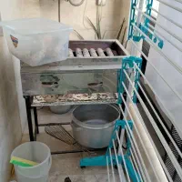 آپارتمان ۱۰۰ متر شادمهر تک واحدی|اجارهٔ آپارتمان|تهران, شادمان|دیوار