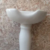 سرشور بزرگ کاملا سالم