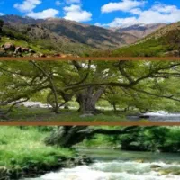 ۵۰۰متر زمین مسکونی در کهمان